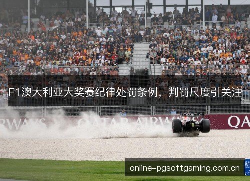 F1澳大利亚大奖赛纪律处罚条例,判罚尺度引关注 F1澳大利亚大奖赛纪律处罚条例,判罚尺度引关注