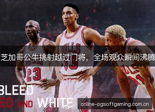 芝加哥公牛挑射越过门将,全场观众瞬间沸腾 芝加哥公牛挑射越过门将,全场观众瞬间沸腾